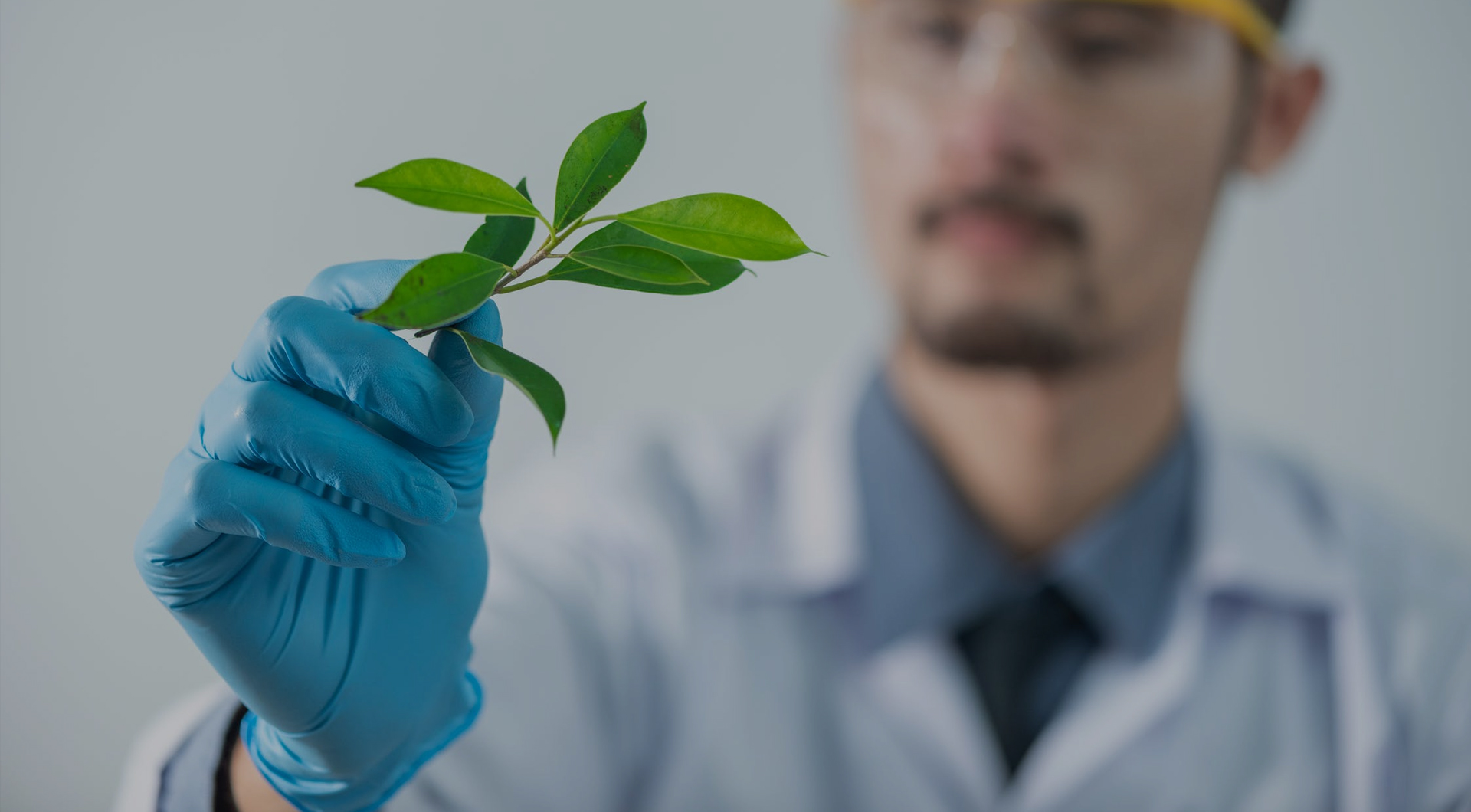 壹号娱乐app官网(中国)官方版下载