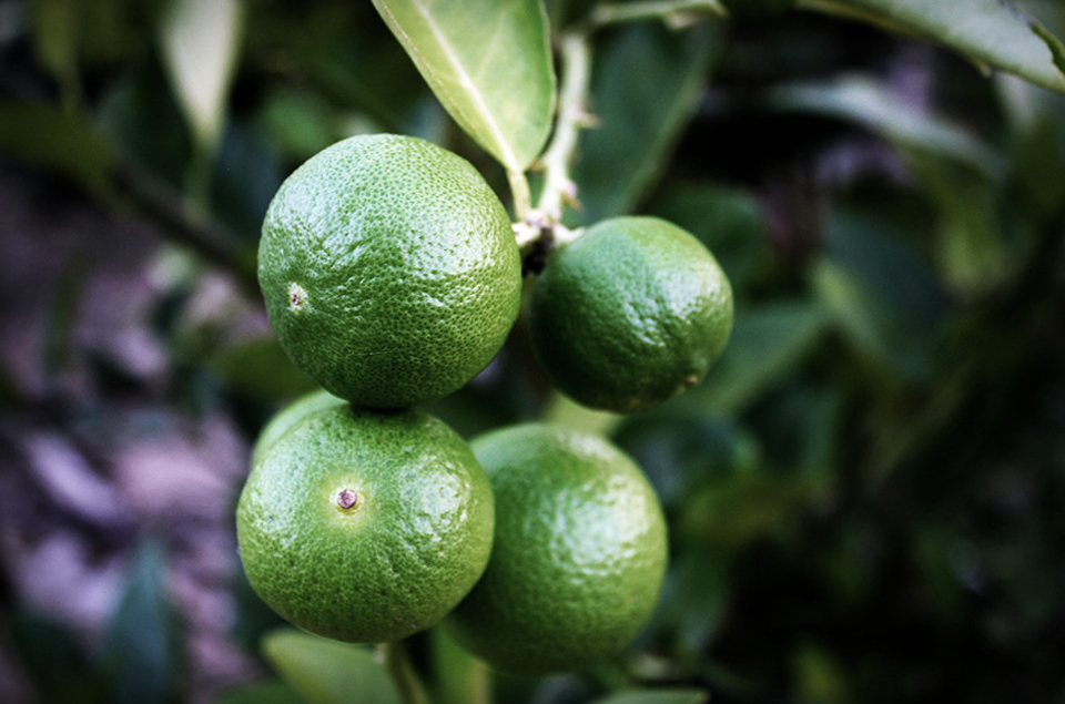 壹号娱乐app官网(中国)官方版下载