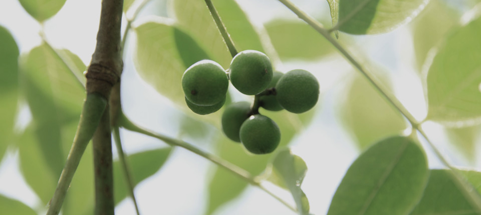 壹号娱乐app官网(中国)官方版下载